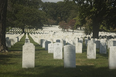 NYC: Cypress Hills National Cemetery