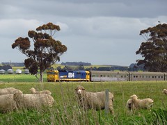 Trains around Victoria - Oct/Nov 2017