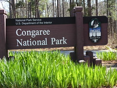 Congaree National Park Columbia SC 2018