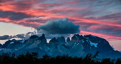 Patagonia & South America