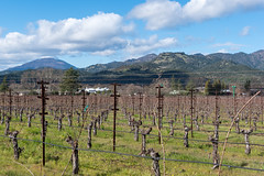 California - Wine Country