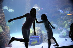 2009-08 Denver Aquarium