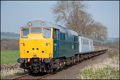 UK Class 31