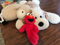 Stuffed Plush Toys