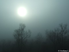 Румыния 2014 Туман