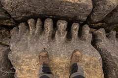 Bigfoot on The Limestone Pavement