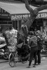 Vietnam in Black and White - 2018
