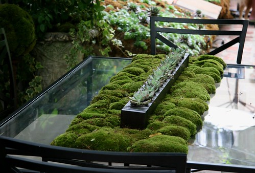Moss table - Heather Lenkin garden by brewbooks