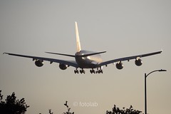Aviones (Volando por el Mundo)