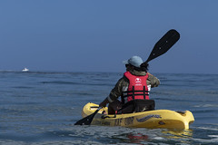 Monterey Bay Ocean Kayaking