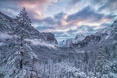 Yosemite Snowscape