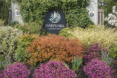 Darts Hill 2018