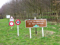 Tournehem-sur-la-Hem forêt domaniale