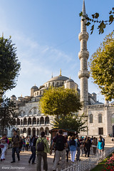 Turquie Istanbul Mosquées Octobre 2014