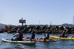 Monterey Bay Ocean Kayaking