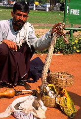 India February 1999