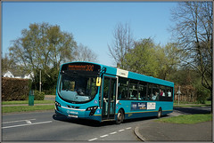 Buses - Arriva The Shires