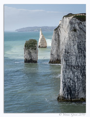 Postcards from Isle of Purbeck, Dorset