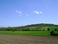 ogoarele patriei/fields of the homeland