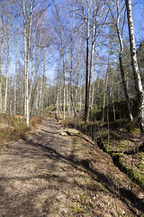Bjørndalen 1