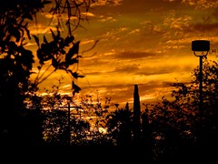 Central Tucson Sunset