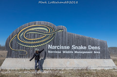 Manitoba/Narcisse Snake Dens
