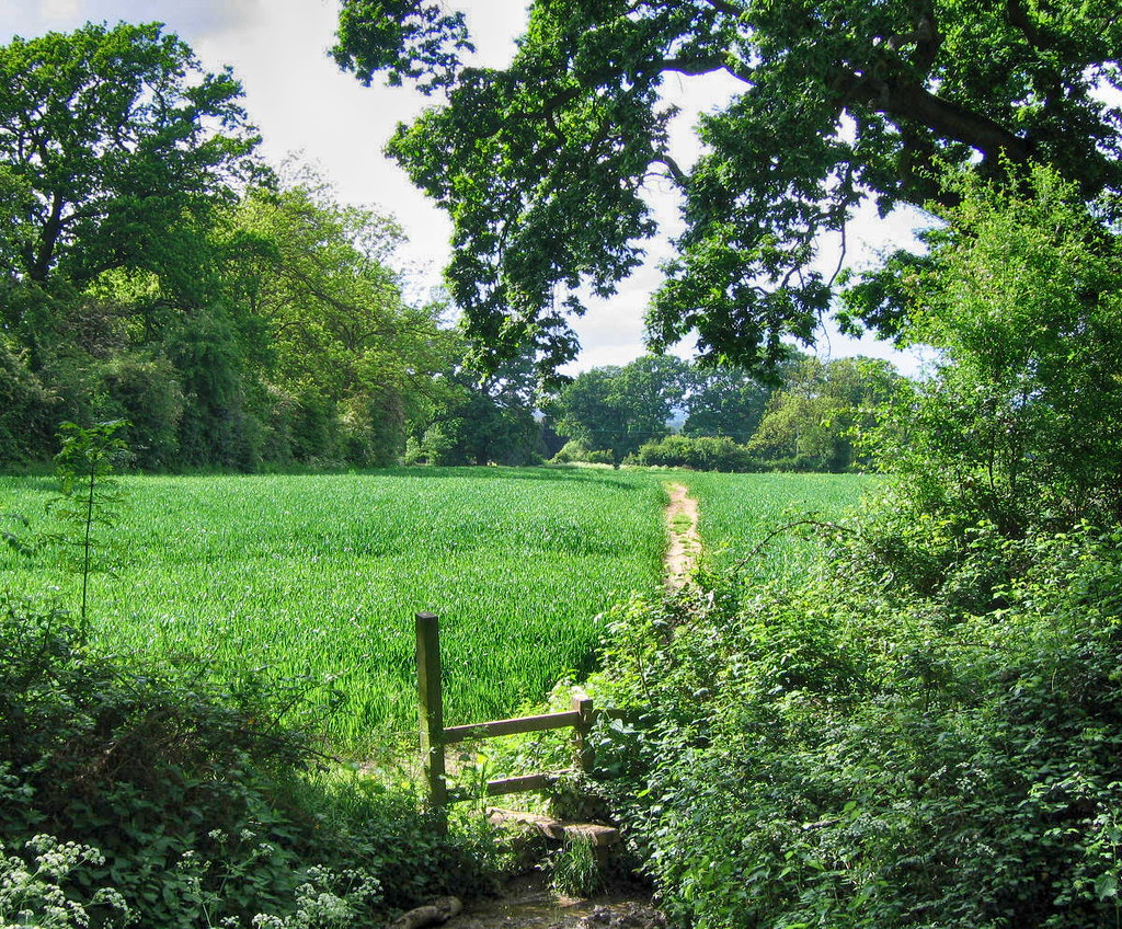 Footpath from Mickleton village in the Cotswolds. Credit JR P, flickr