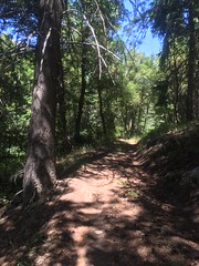 July 24, 2018 b (Rock Canyon-Y Trail loop)