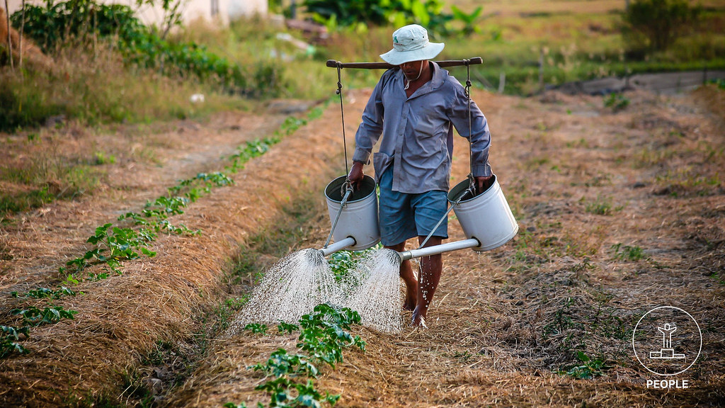 一个男人在干燥的田地里给庄稼浇水.