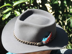 Akurba Hat
