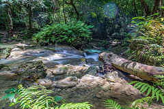 Kawasan Waterfalls near Oslob,Cebu, Philippines.