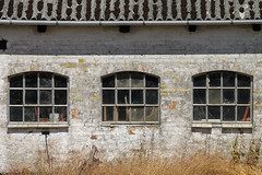 Fenster  - Windows
