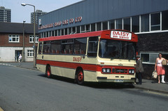 Daisy Bus Service