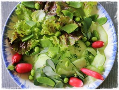 Salade du jardinier