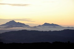 2018 Great Borneo-Mt.Kinabalu-sepilok-Kinabatangang- and Danum Valley