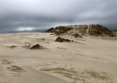 Walking Dune