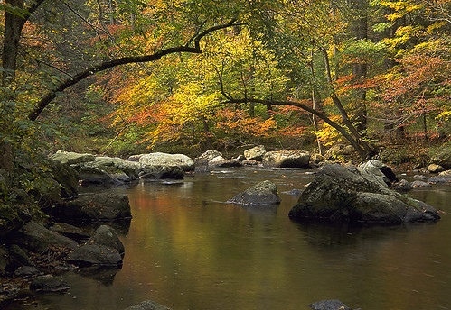 Ken Lockwood Gorge, autumn by gmaronson