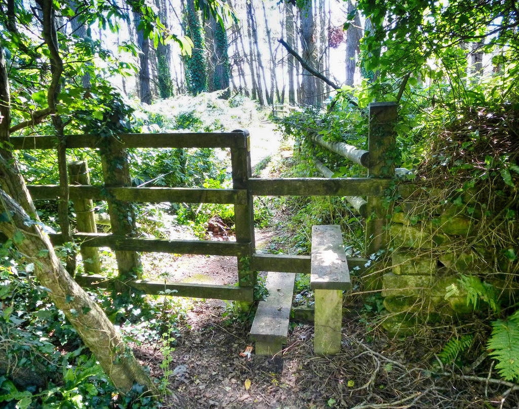 A two-step stile in a Cornish forest. Credit Dennis White