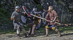 Viking fight Bronseplassen 2018