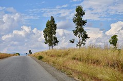 Madagascar on the road