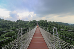 猴探井天空之橋