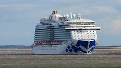 Cruise Liners