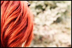Red Hair in my Green Land