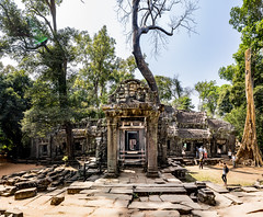 2018 02 Ta Prohm Temple, Cambodia