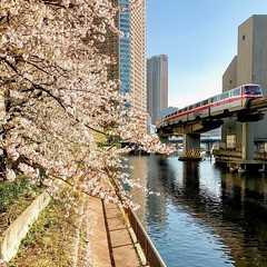 Around Tokyo April 2017 - March 2018