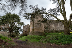 Caldicot Castle Apr 2018