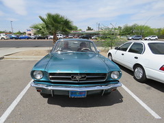 My Favorite Mustang 1964 & 1/2 