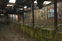 Fort Tilden Graffiti