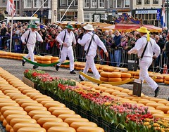 Cheese market Alkmaar/Holland