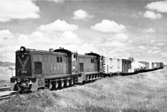North British export diesel hydraulic locomotives